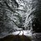Snow tunnel