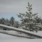 Winter in the Northwoods