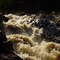 Dave's Falls