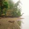 Misty shore, Hope Island State Park