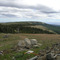 Looking east out Naneum Ridge