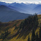 Hurricane Ridge