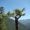 Olympic National Park