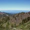 Strait of Juan de Fuca and Vancouver Island from Hurricane Ridge