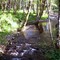 Creek outside Ryderwood