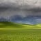 Green Rolling Hills - Palouse, Washington