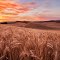 Palouse Washington