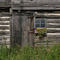 Log barn with flowerbox