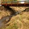 Logging bridge at Brights Creek