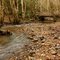 Logging bridge at Cedar Creek