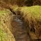 A tributary to Brights Creek