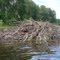 Beaver Dam, Smith Bybee