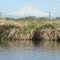 Channel Smith-Bybee Lakes