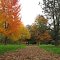 Columbia Childrens Aboretum in the fall