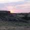 Sage lands east of 4th of July Lake - at sunrise.