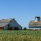 Country Farm