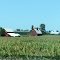 Red Barn