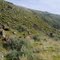 Yakima Canyon, Yakima, Washington