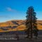 Morning Sun in the Yakima River Canyon