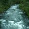 CEDAR CREEK IN THE CAPITAL FOREST