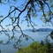 View of Samish Bay from Chuckanut Drive