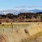 A Pastoral Scene in Skagit County