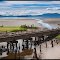 Padilla Bay from Chuckanut Drive