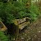 Coyote bench - 201207LJW