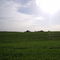 Sun and Barns off Pokey Road