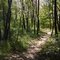 Walking Trail, Silver Lake Park, Highland, IL