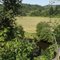 View of Satsop River from bluff above near West Satsop Road