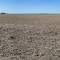 Brown fields near Washtucna