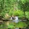 Serene green deep in the Chuckanut Mountains