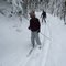 Skiing down the Hemlock Trail, January 2012