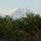 Mount Rainier