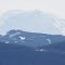 Rainier from the shoulder of Mt. McDonald