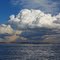 Towering Thundercloud Over Seattle