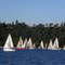Group of Sailboats