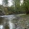 Looking Downstream