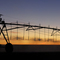 Sprinkler Pivot at Sunset