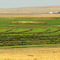 Eastern Washington Farmland ...09.26.08*