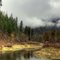 Colville National Forest, WA
