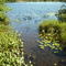 Entrance to Goose Lake; Summer 2008