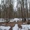 State Public Hunting Grounds, near Dunnville, WI