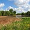 Dunnville Barrens State Natural Area