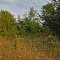 Dunnville Barrens State Natural Area