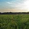 Dunnville State Wildlife Area