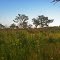 Dunnville Barrens State Natural Area
