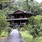 Mentoko Orang Utan Research Camp