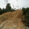 Hutan Nunukan